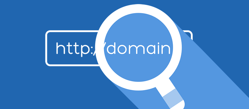 Where does the Domain Name of a Website Primarily Sit